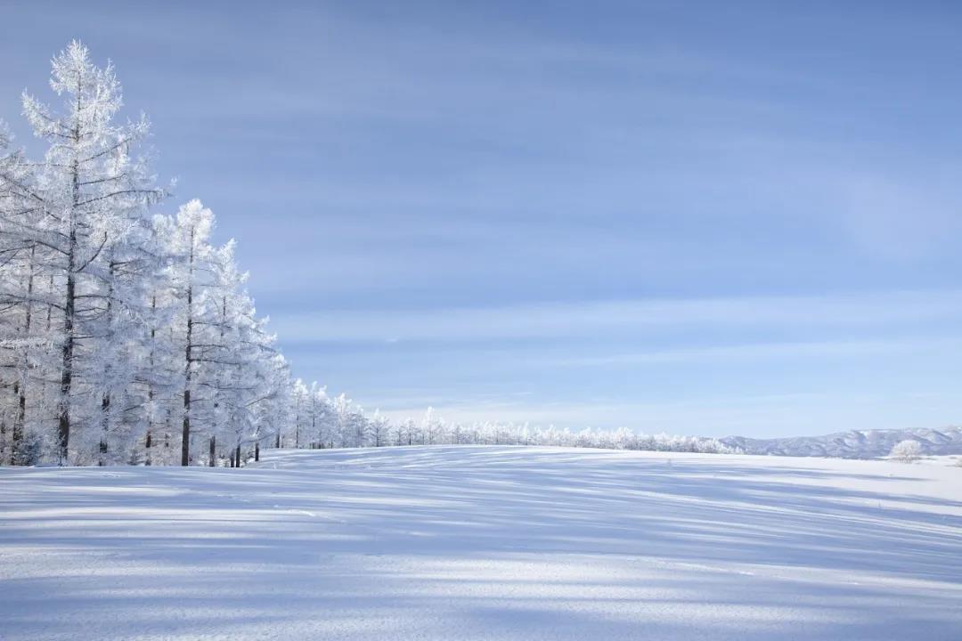 今日大雪！品讀雪中意境！